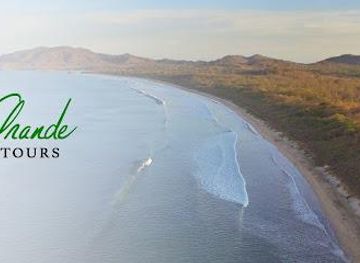 costa-rica/tamarindo/attraction/playa-grande-shuttle-tours