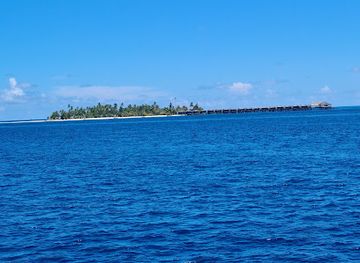 maldives/vaavu-atoll/attraction/sharkpoint