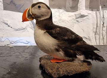 faroe-islands/norooyar/attraction/foroya-sjosavn