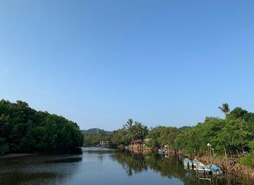 malaysia/kuantan/attraction/cherating-fireflies-sanctuary