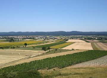 austria/neusiedler-see/attraction/holzlstein