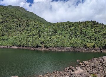 dominica/indian-river/attraction/boeri-lake