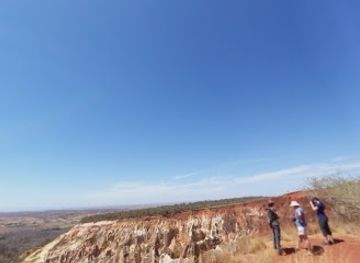 madagascar/ankarafantsika-national-park/attraction/ankarafantsika