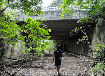 Boh Sua Tian Tunnel