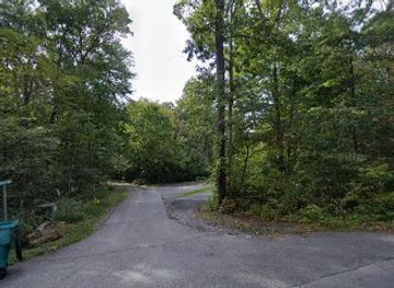 maryland/catoctin-mountain-park/attraction/ridenour-swamp-wildlife-management-area