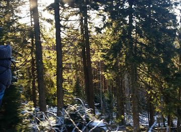 germany/harz-national-park/attraction/soldatenstein
