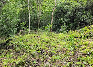 bolivia/yungas-road/attraction/la-cabana-del-rey-yolosita-coroico