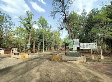 india/central-india/attraction/kanha-tiger-reserve