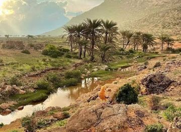 yemen/aden/attraction/delisha-beach