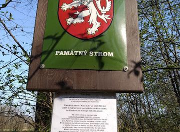 czechia/svaty-kopecek/attraction/dub-kral