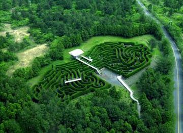 south-korea/jeju-city/attraction/gimnyeong-maze-park