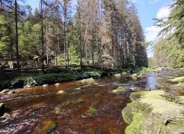 czechia/sumava-national-park/attraction/povydri