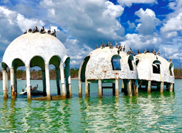 florida/marco-island/attraction/marco-island-dolphin-tour-239-260-0512