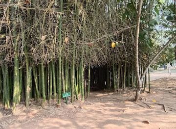 myanmar-burma/pyin-oo-lwin/attraction/street