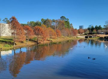 texas/the-woodlands/attraction/the-woodlands-waterway