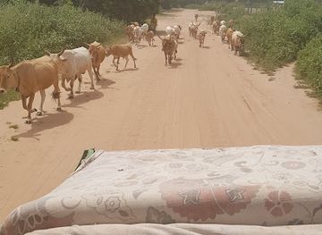 the-gambia/bakau/attraction/salagi-forest-park