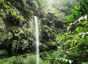 saint-lucia/choiseul-quarter/attraction/mount-gimie-waterfall