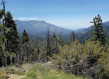 california/sequoia-national-park/attraction/redwood-mountain-overlook