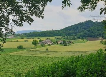 italy/verona/attraction/berici-hills