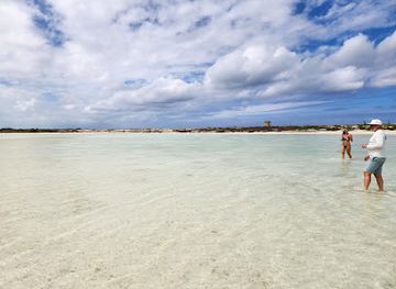 Iguana Island