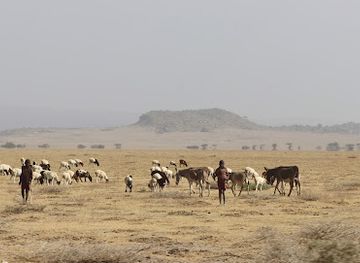 tanzania/ngorongoro-conservation-area/attraction/project-t-fountain