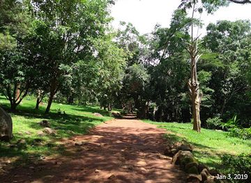 malawi/zomba/attraction/botanical-garden