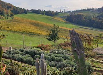 slovenia/styria/attraction/barenhof-berghausen