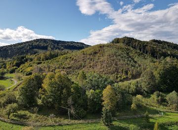 ukraine/tysovets/attraction/zubrovytsya