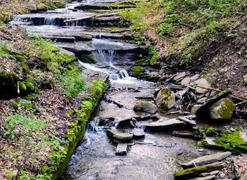 new-york/finger-lakes/attraction/finger-lakes-national-forest