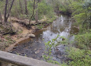 south-carolina/congaree-national-park/attraction/seven-oaks-park