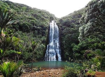 new-zealand/auckland/attraction/karekare-waterfall