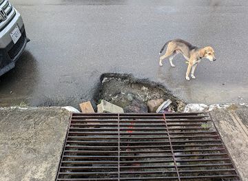 jamaica/port-antonio/attraction/white-man-hole