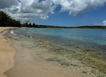 puerto-rico/vieques/attraction/seven-seas-beach