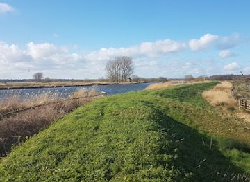 united-kingdom/the-broads/attraction/rspb-buckenham-and-cantley-marshes