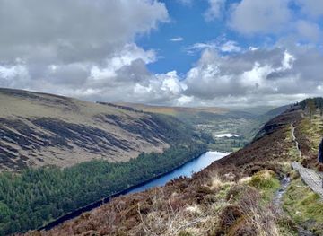 ireland/glendalough/attraction/poulanass-waterfall