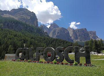 italy/val-venosta/attraction/adventure-park-calfosch