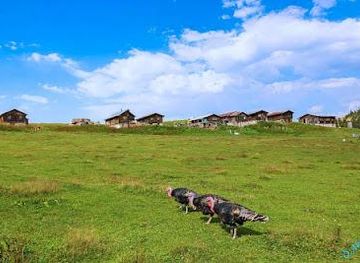 turkiye/kackar-mountains/attraction/sal-yaylasi