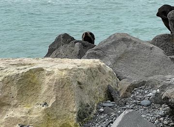 new-zealand/timaru/attraction/timaru-breakwater