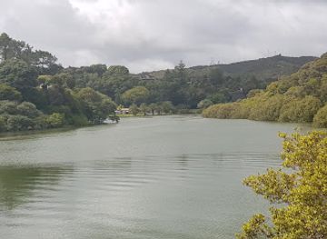 new-zealand/paihia/attraction/bledisloe-domain