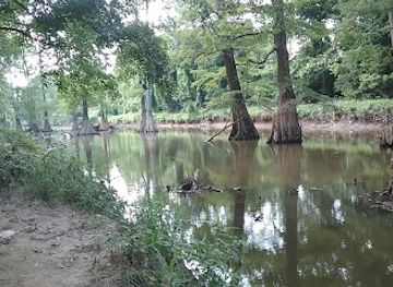 arkansas/pinnacle-mountain-state-park/attraction/benny-craig-park