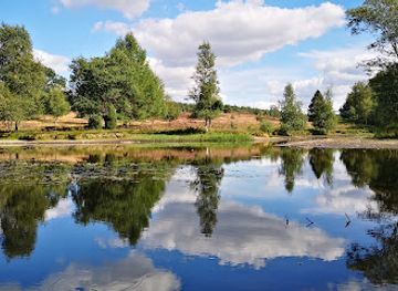 germany/lüneburg-heath/attraction/weseler-heide