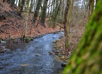 germany/pomerania/attraction/brusenbecker-muhle