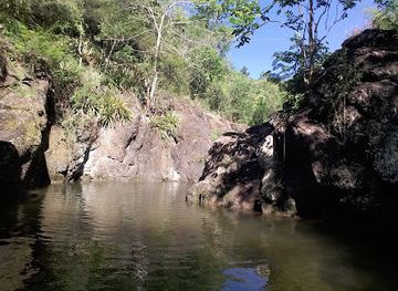 jamaica/kingston/attraction/mammie-river