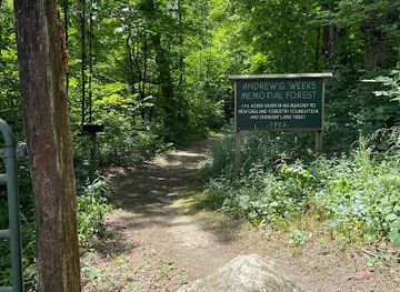 vermont/molly-stark-state-park/attraction/weeks-memorial-forest