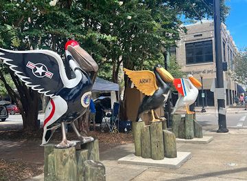 florida/pensacola/attraction/wild-blue-usaf-pelican