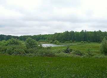 denmark/bornholm/attraction/bisonskoven-bornholm