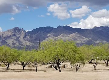 arizona/tucson-mountain-park/attraction/brandi-fenton-memorial-park