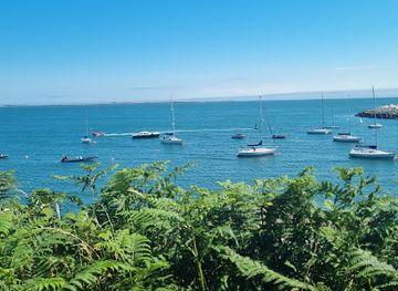 ireland/county-waterford/attraction/badger-s-cove