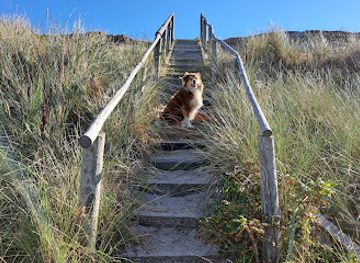 denmark/laso/attraction/nordmarken