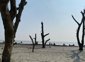 bangladesh/barisal-division/attraction/jhau-bon